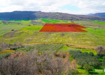 Rinnovabili in conflitto: in contrada Guardiola gli impianti in progetto si sovrappongono tra loro