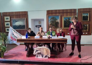 «Tagli alla sanità e aumento delle tasse. Coi soldi degli abruzzesi la Regione finanzia feste e sagre»