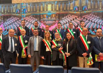 «Transizione al via con i peggiori auspici», sindaci in Senato per una migliore pianificazione energetica