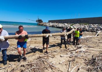 Pulizia della spiaggia di Punta Penna, volontari al lavoro per rimuovere rami e legname