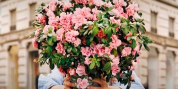 Le “Azalee della ricerca” Airc tornano nelle piazze del Vastese per la Festa della Mamma