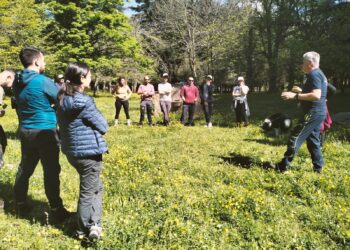 Cani per la ricerca e il soccorso in superficie: Rucci in Sardegna per insegnare le tecniche