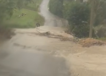 Contrada San Biagio, più che una strada un guado: torrente di fango tra le case