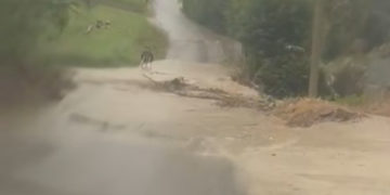 Contrada San Biagio, più che una strada un guado: torrente di fango tra le case