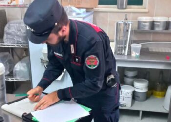 Condizioni igieniche precarie, sospesa l’attività di un laboratorio di gelati artigianali
