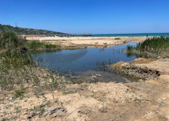 Primi bagnanti e kitesurfisti: da Fosso Marino tanfo nauseabondo