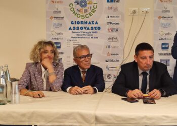 L’allarme di Strever: «A rischio posti nell’automotive. Portualità quasi artigianale e Trignina inadeguata»