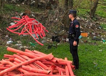 Rame estratto dai cavi dismessi dell’eolico e rivenduto illecitamente: un arresto