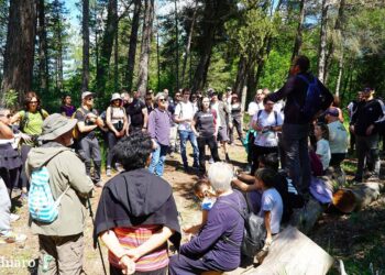 Giornata dedicata alla natura a Tufillo: dopo il trekking, la piantumazione di alberi