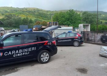 Cocaina, hashish, una pistola clandestina e 50mila euro in contanti: arrestato 58enne di Castiglione