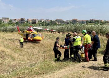 Tir sfonda guard rail dell’A14 e precipita nei campi sottostanti tra Vasto e San Salvo