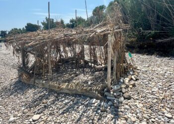 «Arriva l’estate e sulla spiaggia di Canale spuntano capanne e cani senza guinzaglio»