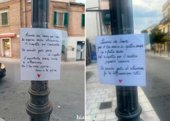 A San Salvo “cartelli gentili” per i padroni di cani, «Così chiediamo attenzione per gli spazi comuni»