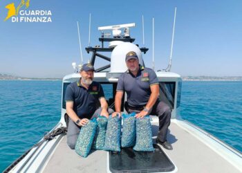 180 kg di vongole in eccesso: sanzione da 2mila euro e sequestro dell’attrezzatura