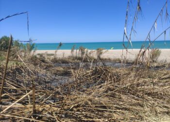 «Un incendio ha distrutto il canneto: ingresso alla spiaggia di San Nicola tra cadute e abrasioni»