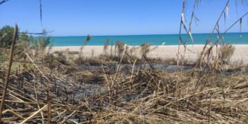 «Un incendio ha distrutto il canneto: ingresso alla spiaggia di San Nicola tra cadute e abrasioni»