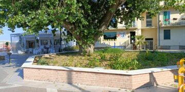 «Lavori finiti da due mesi, ma l’area verde attorno al pioppo monumentale è abbandonata»