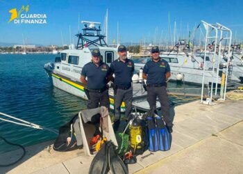 Raccolgono ricci di mare nel porto di Vasto, per due subacquei multa e sequestro dell’attrezzatura