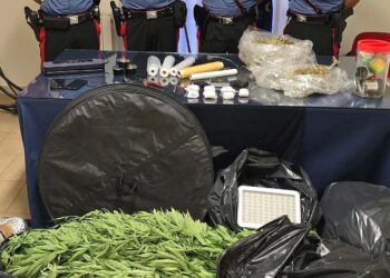 Scoperta a Vasto coltivazione di marijuana: arrestati padre e figlio