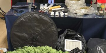 Scoperta a Vasto coltivazione di marijuana: arrestati padre e figlio