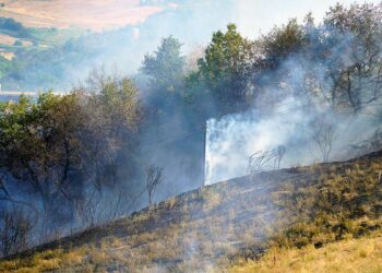 Incendi, oltre dieci ettari bruciati nel rogo di ieri a Lentella