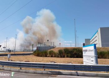 Fiamme nella zona industriale di San Salvo, a fuoco canneto e terreni coltivati