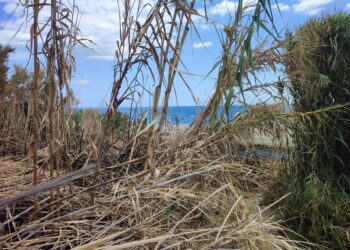 Dopo l’incendio accesso pericoloso alla spiaggia di San Nicola