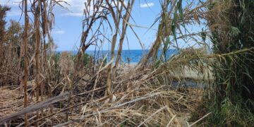 Dopo l’incendio accesso pericoloso alla spiaggia di San Nicola