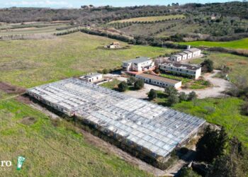 Dall’ex Cotir 410 tonnellate di idrogeno. Impianti, aggiudicata la fornitura: bisogna finire in un anno