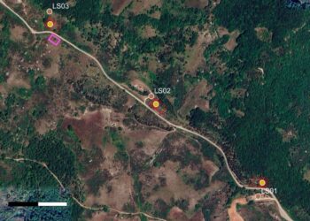 «Torre eolica nel bosco», ancora un rinvio per il progetto Edison a Liscia