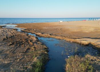 «Stamattina tanfo da Fosso Marino». Il Comune interviene