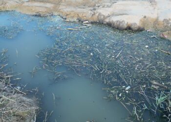 «Stamattina tanfo da Fosso Marino». Il Comune interviene