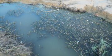 «Stamattina tanfo da Fosso Marino». Il Comune interviene