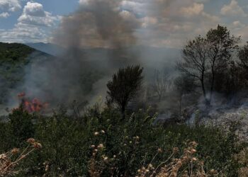 Incendio divora la vegetazione, contrade a rischio evacuazione. Canadair ed elicottero per domare il rogo
