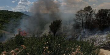 Incendio divora la vegetazione, contrade a rischio evacuazione. Canadair ed elicottero per domare il rogo