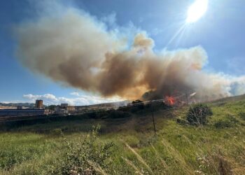 La striscia di fuoco non si ferma: a Lentella l’ennesimo rogo della giornata nel Vastese