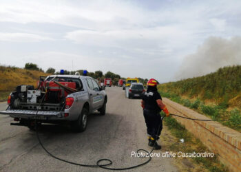 Contrasto ai roghi boschivi, Regione autorizza la squadra anticendio della Protezione civile
