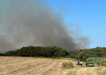 Fiamme nella Riserva di Punta Aderci, elicottero e canadair. Rogo domato nel tardo pomeriggio
