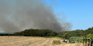 Fiamme nella Riserva di Punta Aderci, elicottero e canadair. Rogo domato nel tardo pomeriggio
