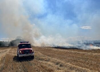 Incendio nelle campagne di Torre Sinello a poca distanza dalla Riserva