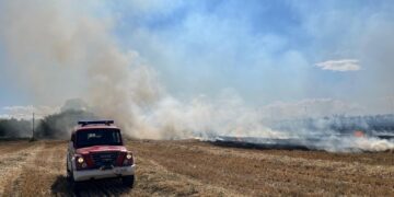 Incendio nelle campagne di Torre Sinello a poca distanza dalla Riserva