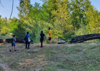 Il mondo delle riserve naturali abruzzesi contro i tagli della Regione: «Rischiamo di fermarci»