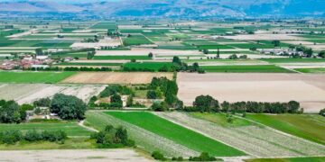 35enne muore investito da un trattore dopo una lite, fermato un uomo