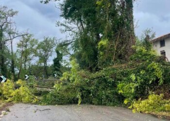 Dopo la grandinata l’appello alla Regione: «Stato di calamità, aziende rischiano di non rialzarsi»