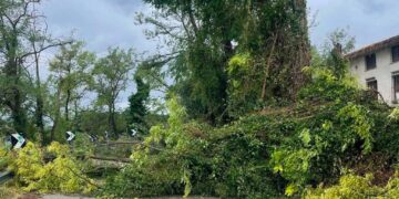 Dopo la grandinata l’appello alla Regione: «Stato di calamità, aziende rischiano di non rialzarsi»