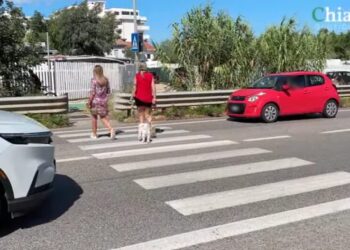 SS16 pericolosa, De Nicolis chiede all’Anas passaggio pedonale rialzato e attraversamento luminoso