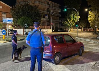 Controlli nella settimana di ferragosto: 9 patenti ritirate, multe e denunce