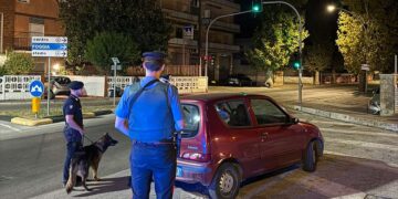 Controlli nella settimana di ferragosto: 9 patenti ritirate, multe e denunce