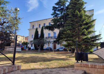 «Cani randagi nella villa comunale hanno causato una caduta a mia nipote di due anni»