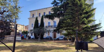 «Cani randagi nella villa comunale hanno causato una caduta a mia nipote di due anni»